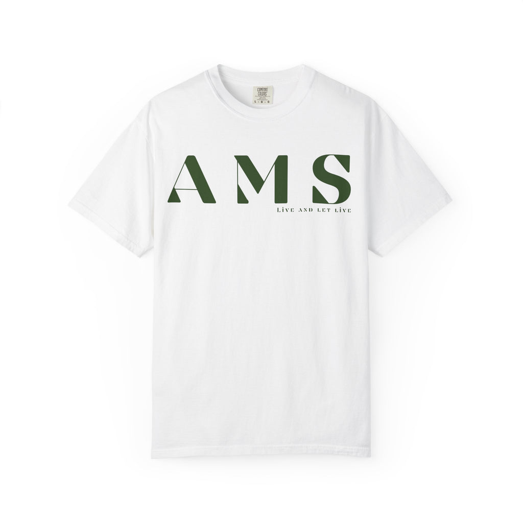 AMS - Amsterdam | Minimal Travel Compass Graphic