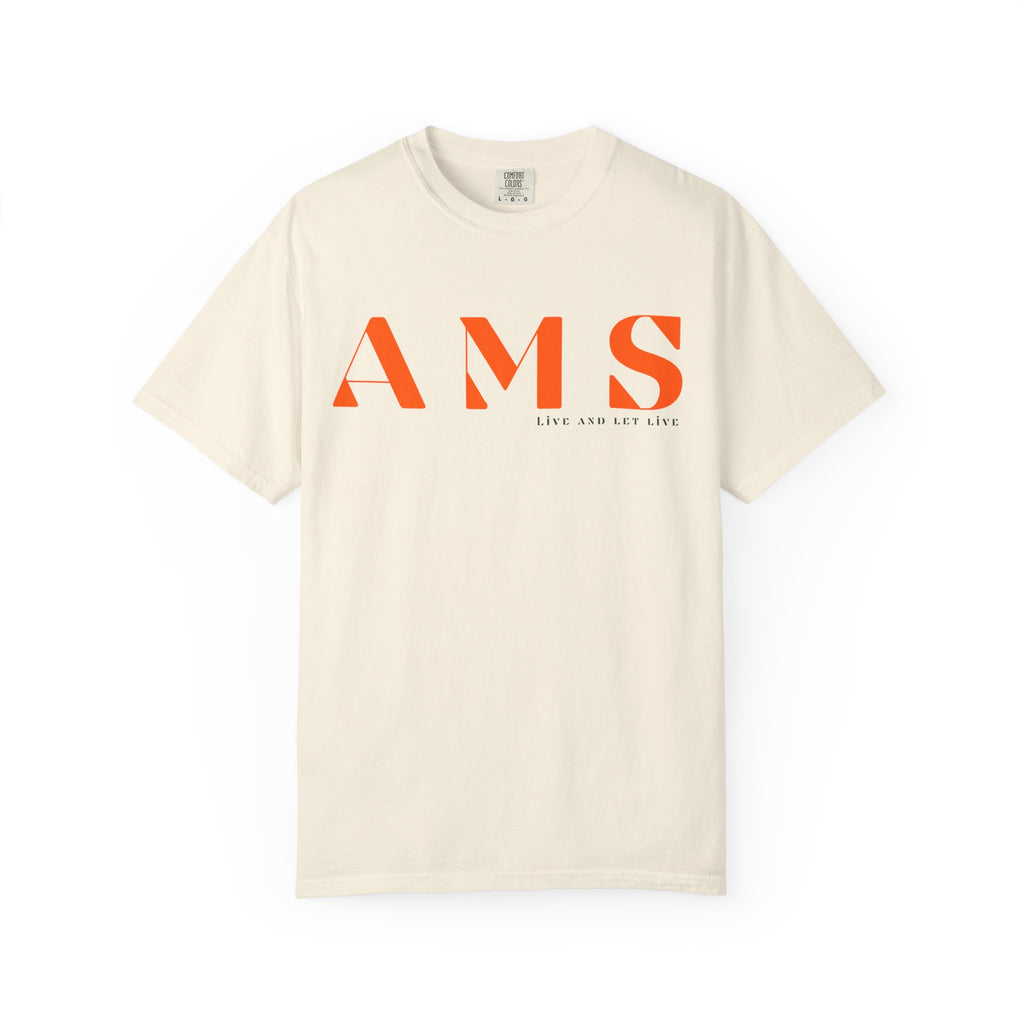 AMS - Amsterdam | Minimal Travel Compass Graphic